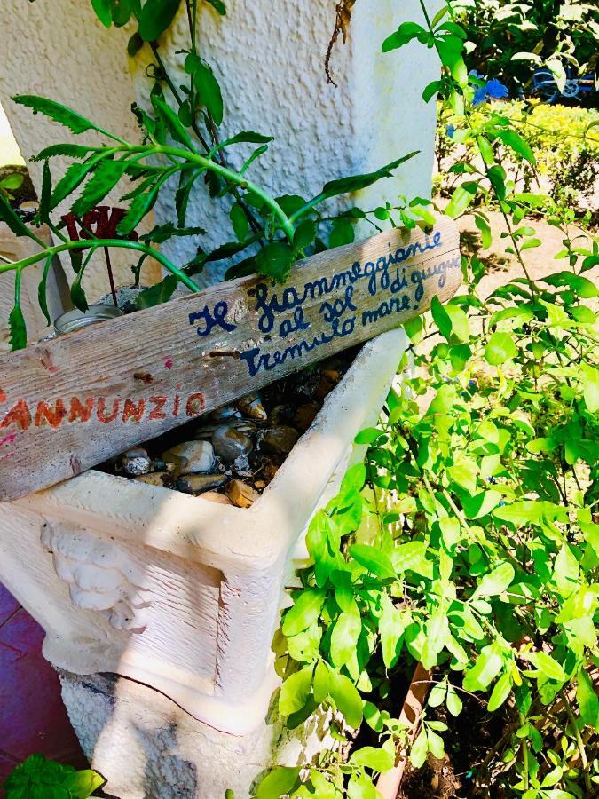 La Casa Di Nataly Panzió Fregenae Kültér fotó